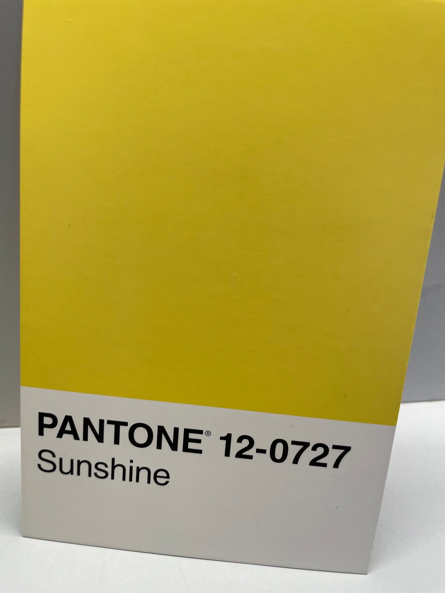 Sunshine Pantone necklace