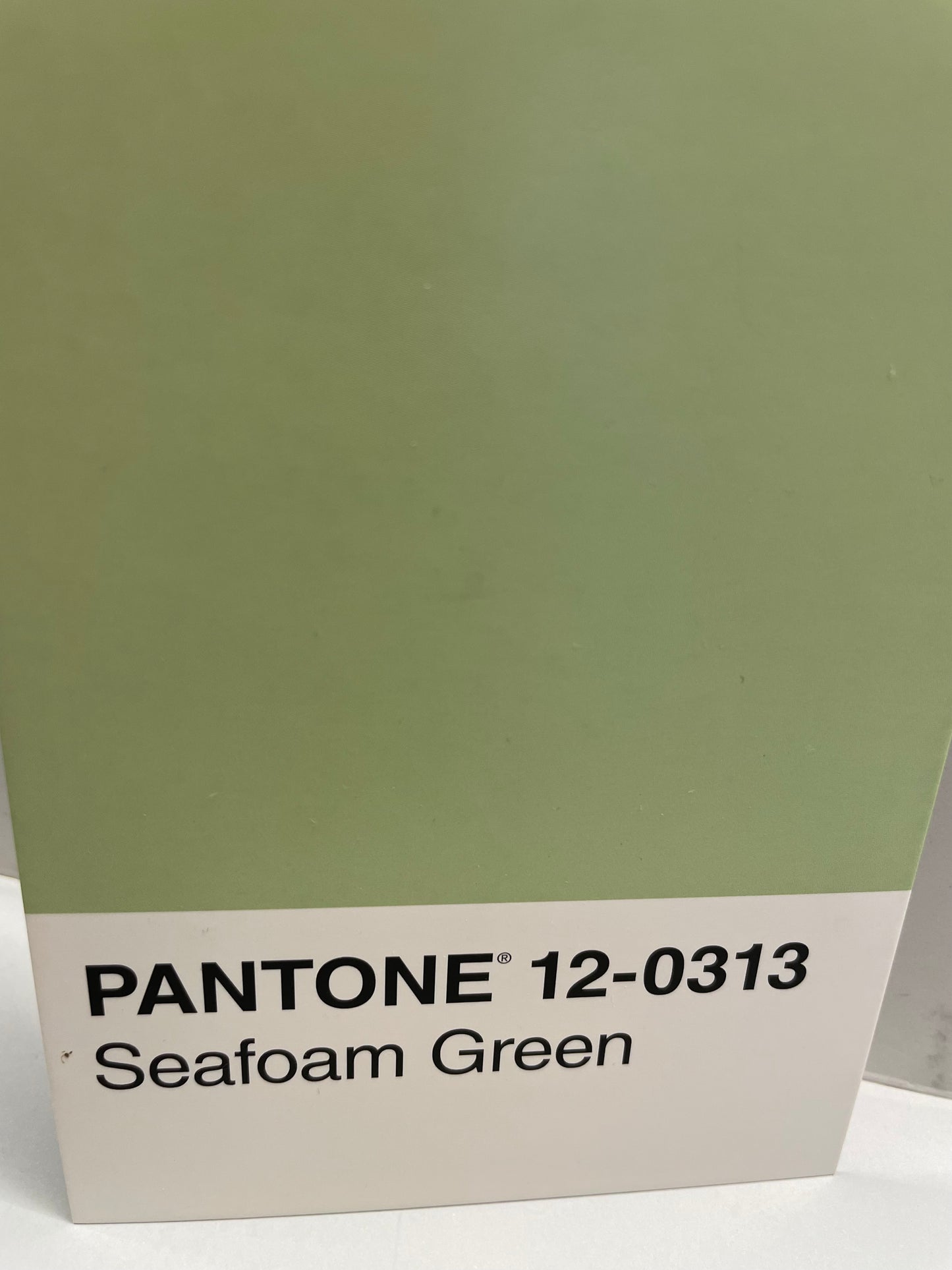 Seafoam Green Pantone necklace