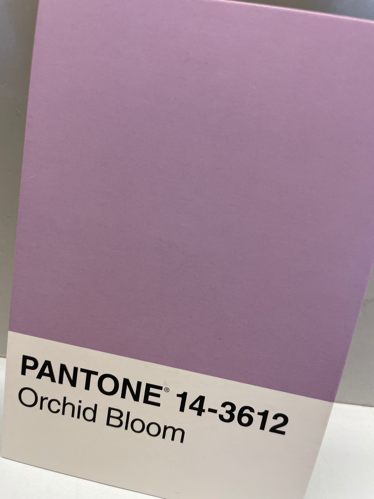 Orchid Bloom Pantone necklace